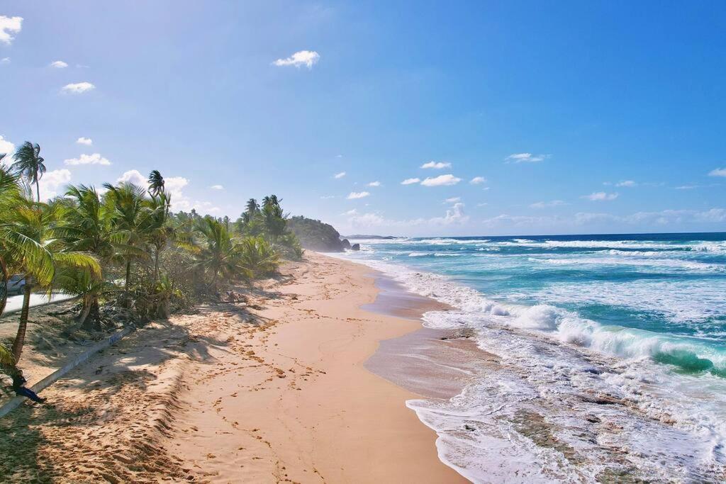 Family & Friends - Beach, Bbq, Private Pool & Pet Vega Baja Exterior foto